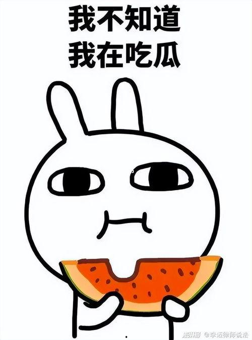 瓜瓜吃瓜的作者,揭秘网络八卦背后的真相与趣味