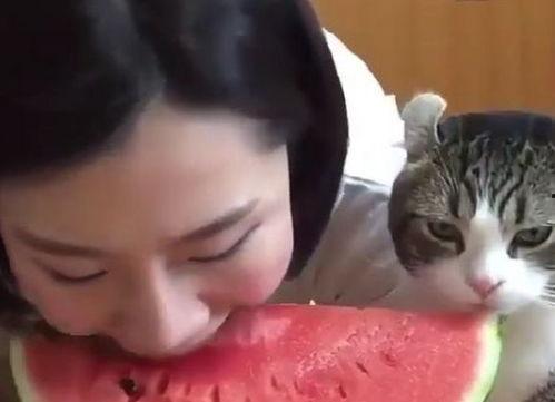 小予神吃瓜,揭秘娱乐圈那些不为人知的幕后故事